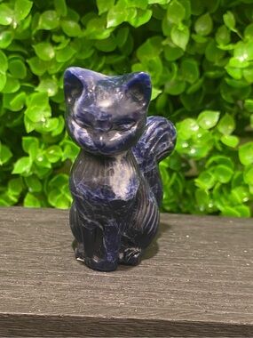 Sodalite Elegant kitty